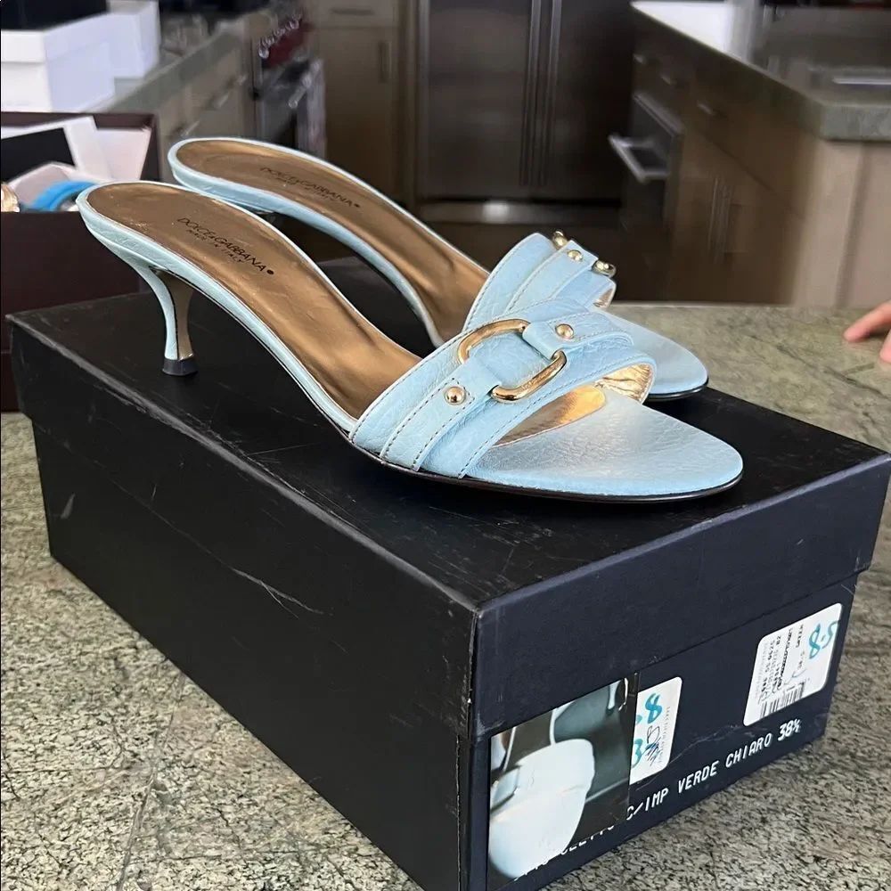 Dolce & Gabbana Sky Blue Heeled Mules